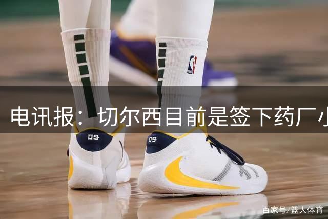 电讯报：切尔西目前是签下药厂小将阿拉伊贝戈维奇的最大热门